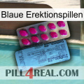 Blue Erection Pills 35